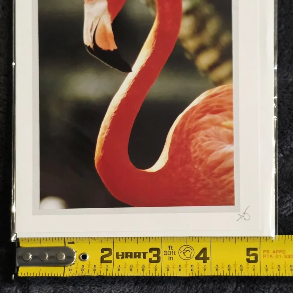 5 Gary Firstenberg greeting cards Turning Negatives Into Positives 2019 Signed